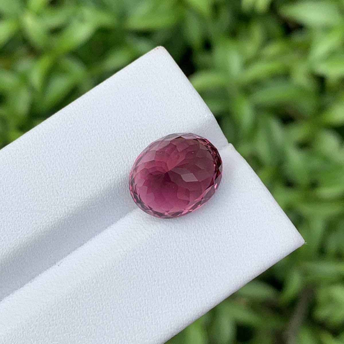 Une Tourmaline Rose de 5,88 carats de Bonnot Paris, facettée en forme ovale et d'une teinte violet profond, est présentée sur une surface blanche sur fond de feuillage vert flou.