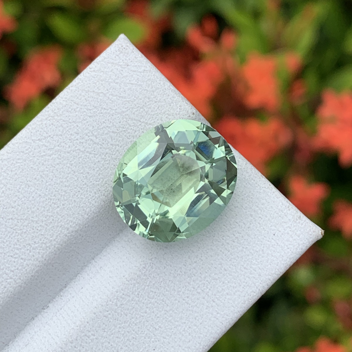 Gros plan de la "Tourmaline Verte · 7,3ct" de Bonnot Paris, une pierre précieuse verte ovale facettée sur une surface blanche avec des fleurs rouges floues et un feuillage vert en arrière-plan.