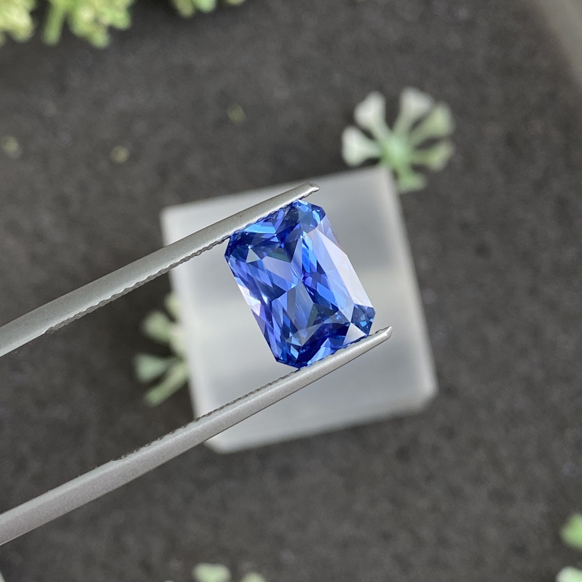 Une paire de pinces maintient la pierre précieuse vibrante et facettée Saphir Bleu · 4,13 ct de Bonnot Paris sur un fond flou avec de petites plantes vertes, soulignant sa clarté et sa couleur riche.