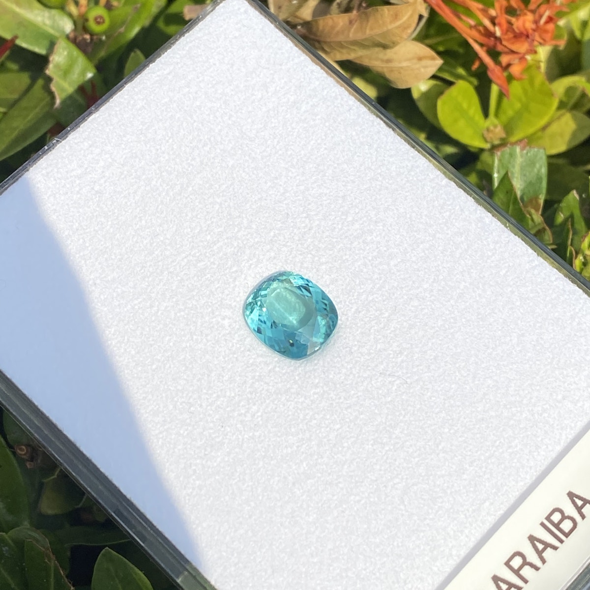 Une Tourmaline Paraïba de 4,08 carats de Bonnot Paris, avec une taille facettée carrée aux coins arrondis, est présentée sur une carte blanche partiellement visible au soleil sur fond de feuillage vert.