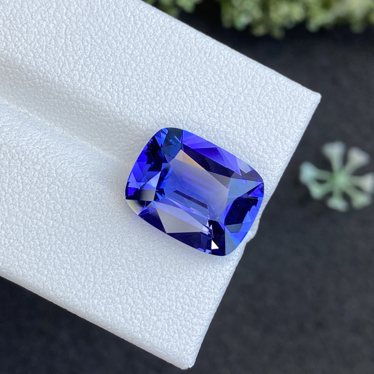 Une tanzanite Bonnot Paris de 6,66 carats repose sur une surface blanche, ses facettes taille coussin reflétant des nuances bleues et violettes. Une plante verte floue apparaît sur le fond sombre.