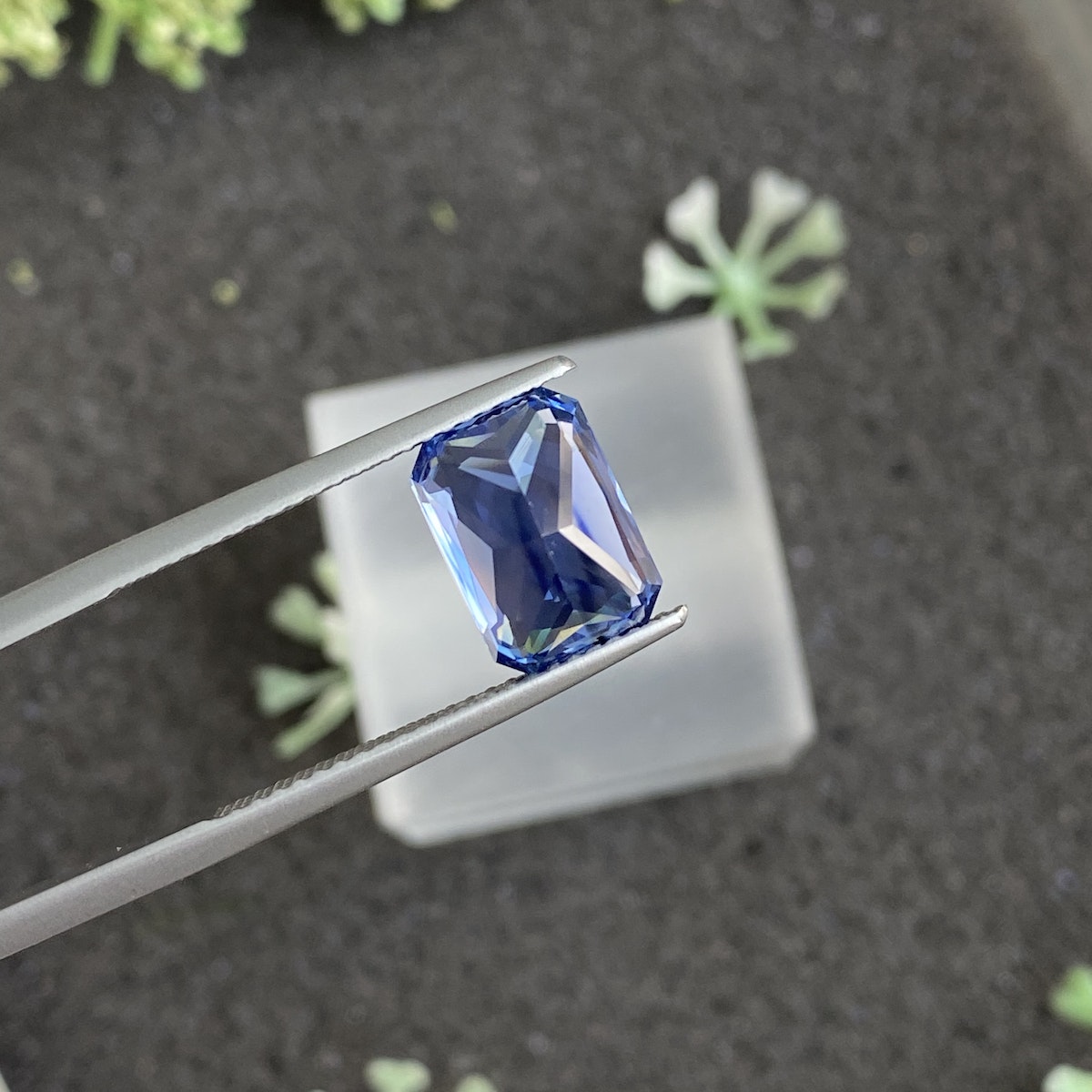 Une paire de pinces en métal maintient le Bonnot Paris Saphir Bleu · 4,13 ct, une pierre précieuse bleue taille émeraude, sertie sur un fond flou et sombre avec des touches de verdure pour un contraste naturel.
