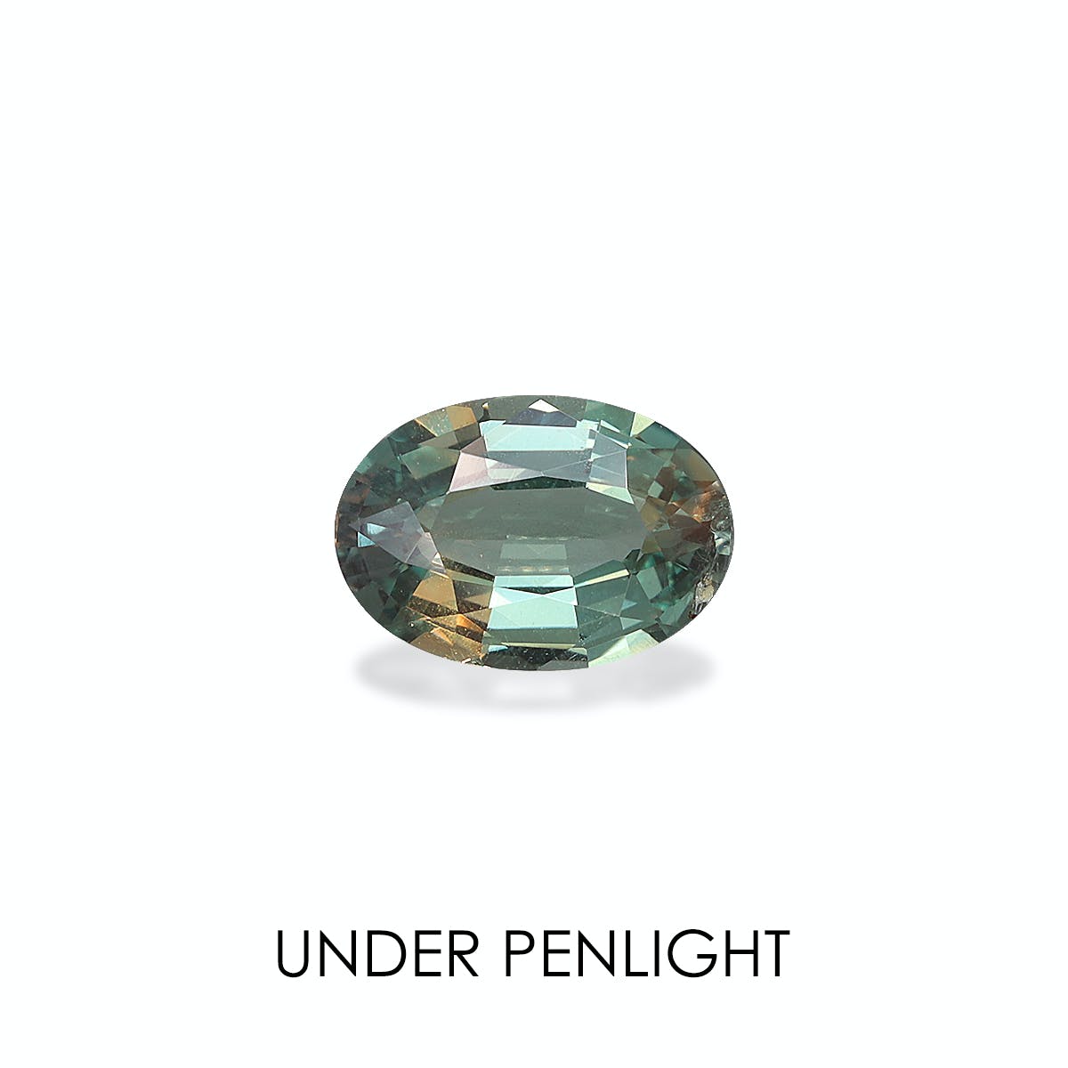 Une alexandrite ovale à facettes de Bonnot Paris (0,89 ct) présente des reflets verts avec des reflets bruns sous la lumière d'un stylo sur fond blanc, soulignant sa clarté et ses variations de couleur. L'inscription « SOUS LA LUMIÈRE » est visible ci-dessous.