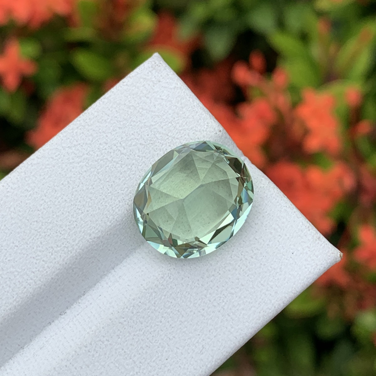 Une Tourmaline Verte ovale de 7,3 carats de Bonnot Paris repose sur un fond blanc avec des fleurs rouge-orange floues et des feuilles vertes en arrière-plan.