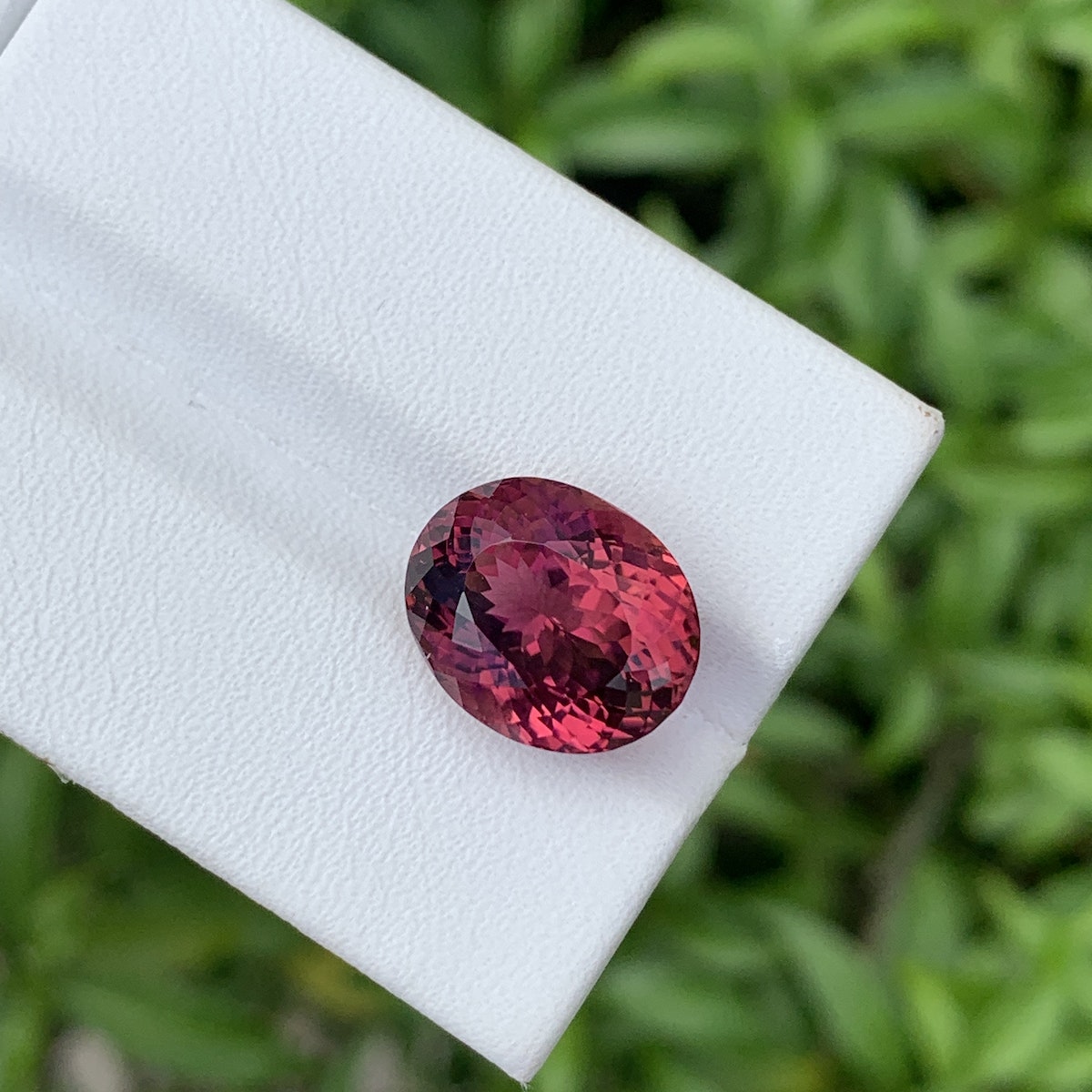 Gros plan de la Tourmaline Rose · 5,88 ct de Bonnot Paris, une pierre précieuse rouge foncé de taille ovale aux facettes accrocheuses, sertie sur un fond de feuillage vert flou sur une surface blanche.