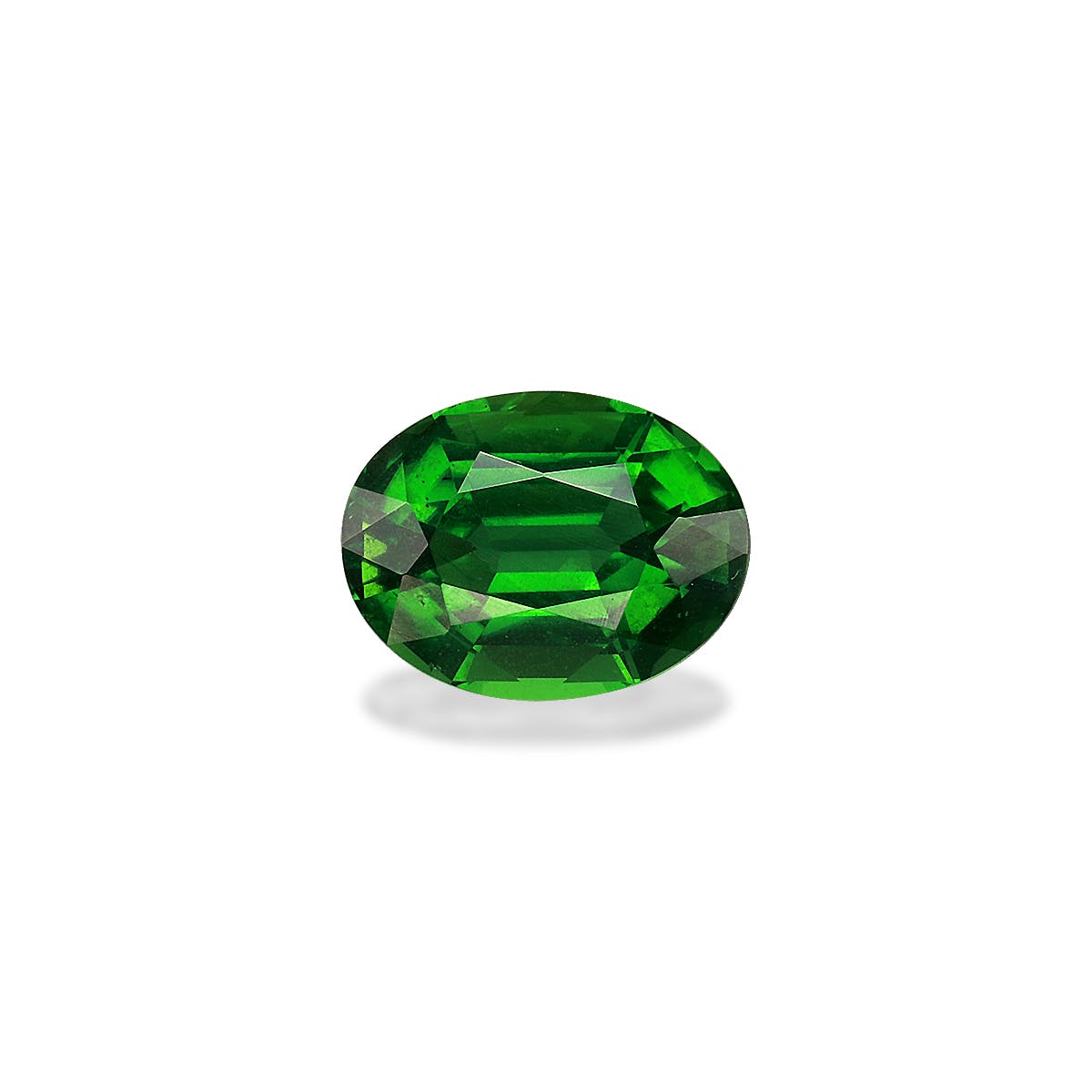 La Tourmaline Chrome Bonnot Paris, 1,47 ct, est une pierre précieuse verte ovale, vibrante, translucide et brillante, avec des facettes précises serties sur un fond blanc.