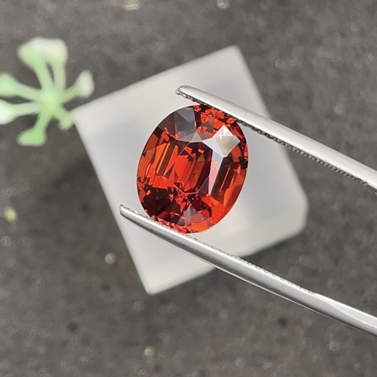 Une pierre précieuse vibrante Grenat Spessartite · 7,76 ct de Bonnot Paris est délicatement maintenue entre des pinces métalliques, sur un fond sombre avec des notes d'une plante verte floue et d'un objet carré blanc à proximité.
