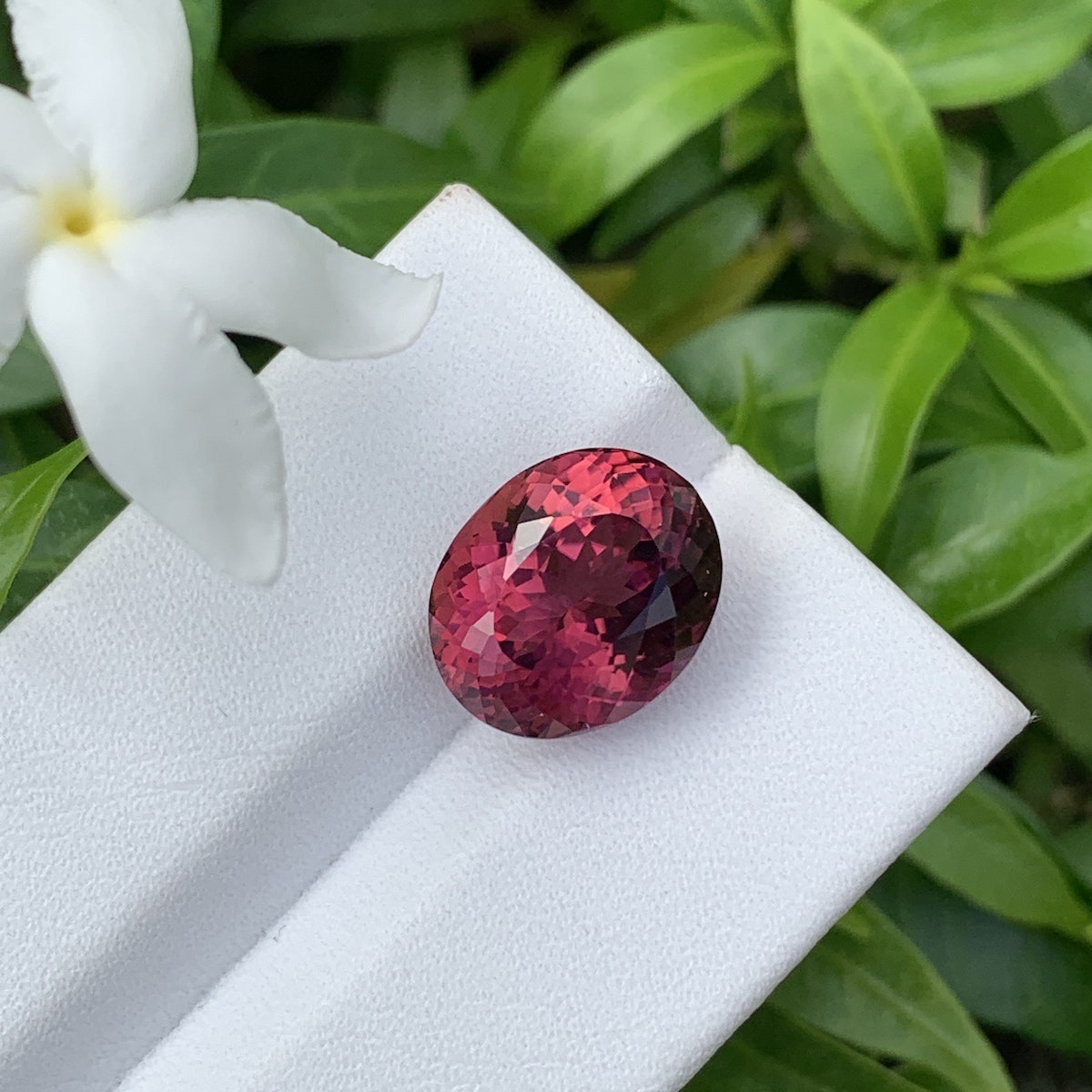 La « Tourmaline Rose · 5,88ct » de Bonnot Paris repose sur une surface blanche, complétée par des feuilles vertes luxuriantes et une fleur de jasmin blanche.