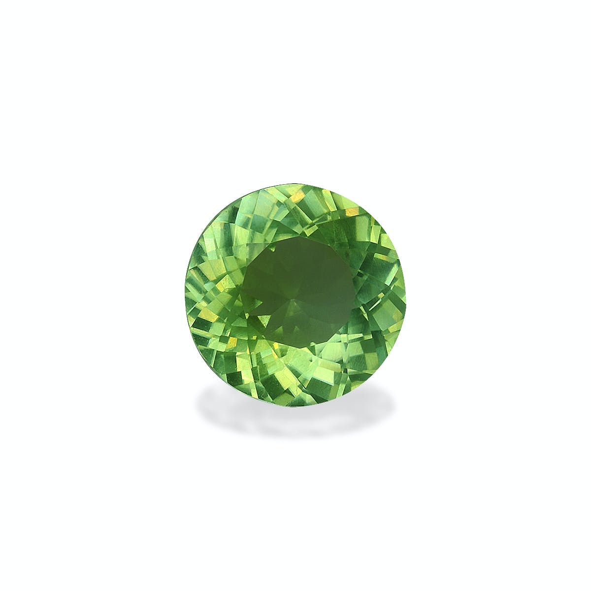 La Tourmaline Paraïba Bonnot Paris, une pierre précieuse ronde facettée de 7,2 ct avec une teinte verte vibrante, est sertie sur un fond blanc uni, réfléchissant la lumière pour mettre en valeur ses facettes et sa clarté.