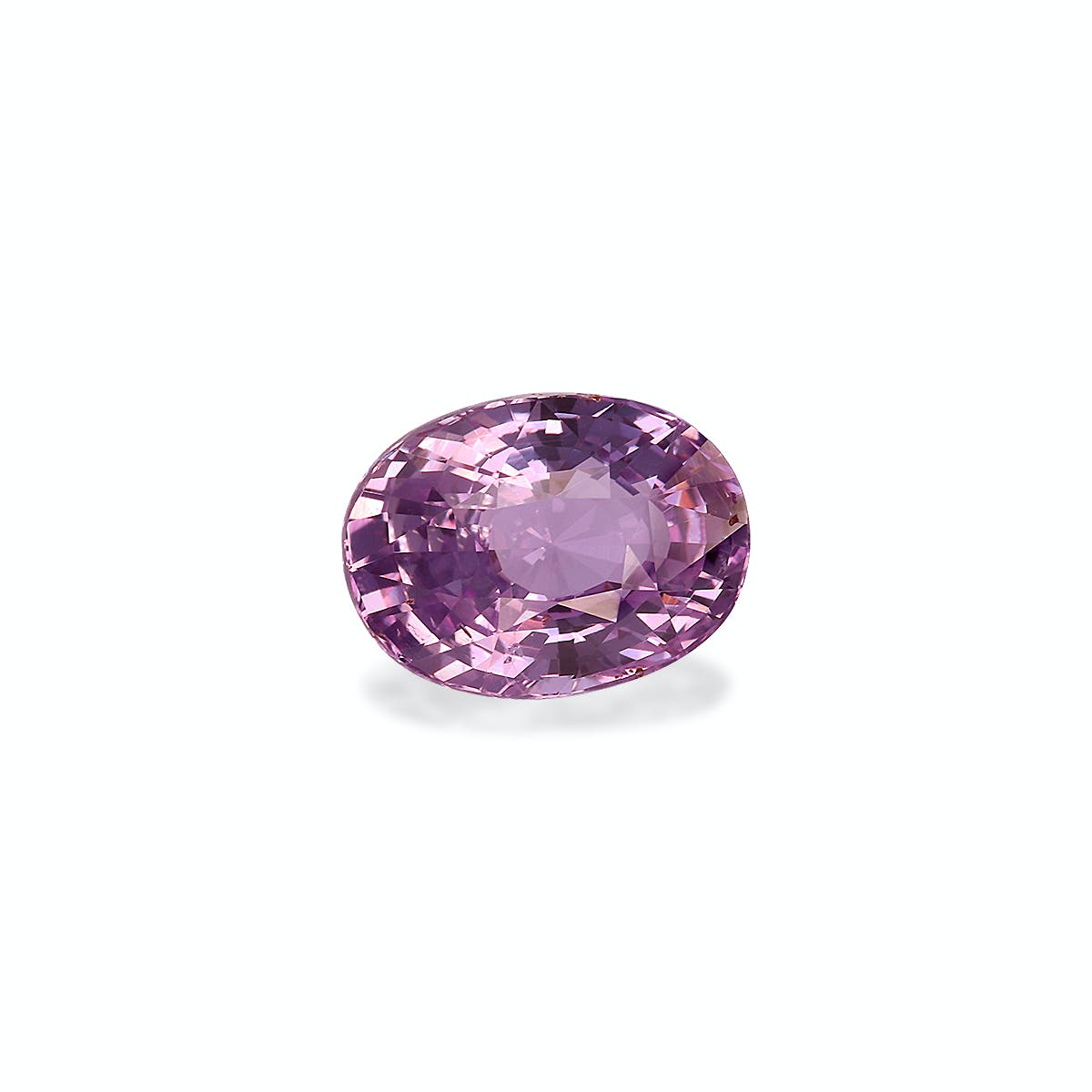 Le Saphir Violet, une gemme de 3,55 ct de Bonnot Paris, est une pierre rose étincelante de forme ovale sur un fond blanc uni avec de multiples facettes qui reflètent la lumière et mettent en valeur sa couleur vibrante.