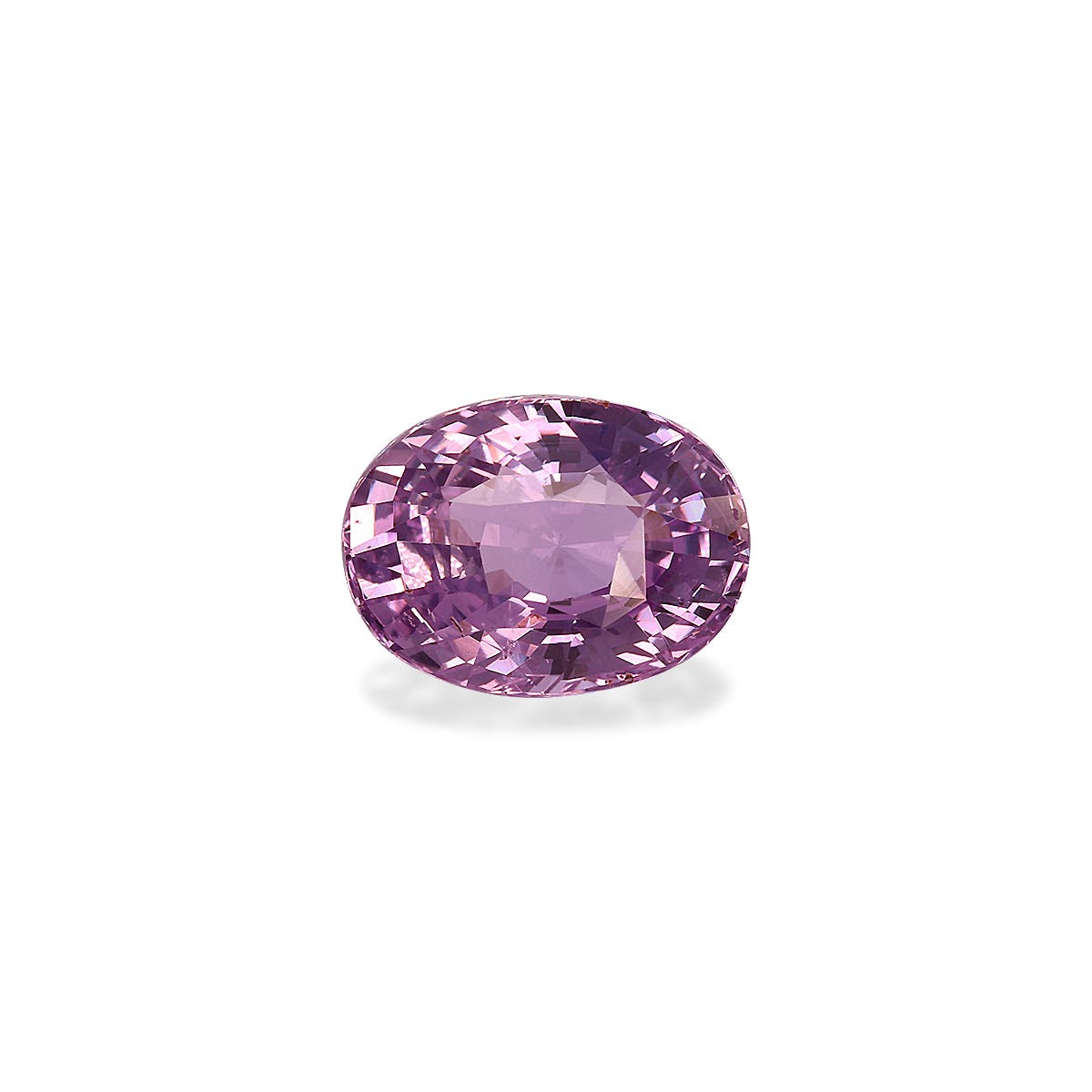 Un Saphir Violet radieux · 3,55 ct de Bonnot Paris, avec une taille ovale et des facettes réfléchissant la lumière, repose sur un fond blanc uni.