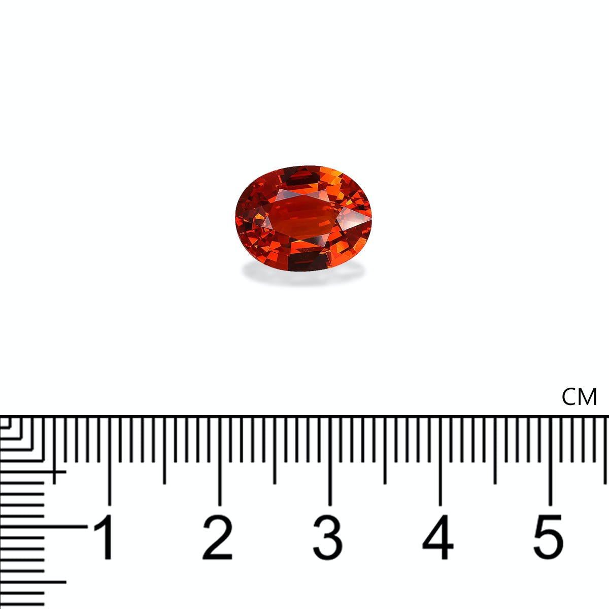 Un grenat spessartite de Bonnot Paris, de taille ovale et de couleur orange foncé, repose sur une surface claire au-dessus d'une écaille. Sa longueur dépasse légèrement 1 cm, comme l'indiquent les graduations en centimètres.