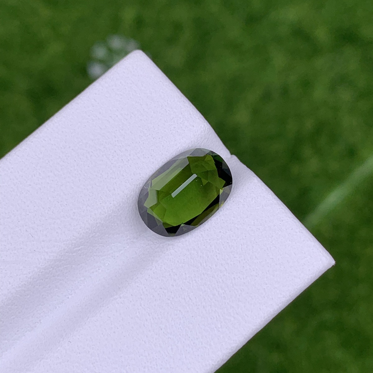 La Tourmaline Chrome ovale de 3,04 ct de Bonnot Paris est présentée sur une surface blanche avec un fond herbeux.