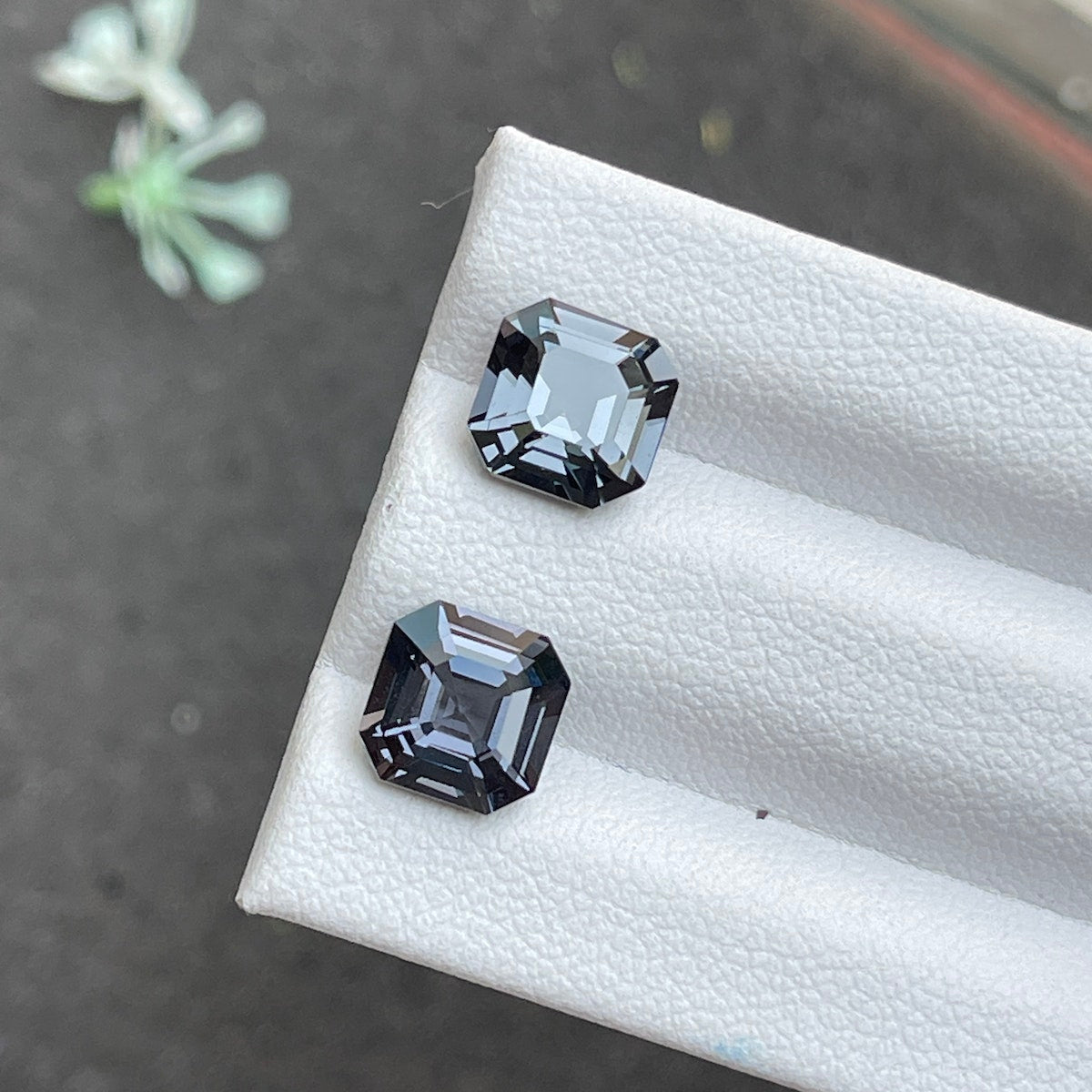 Deux pierres précieuses Spinelle Gris de 4,52 carats de Bonnot Paris, de couleur gris foncé et de taille carrée, reposent sur une surface blanche texturée. Une petite succulente verte contraste joliment avec l'arrière-plan flou.