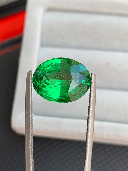 Tsavorite verte • 7,55ct Bonnot Paris