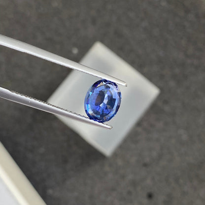 Une pince à épiler tient le Saphir Bleu · 2,04 ct, une pierre précieuse bleue taille ovale de Bonnot Paris, sur un fond gris flou. La pierre facettée présente différentes nuances de bleu.