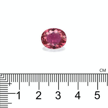 Une Tourmaline Rose ovale de 4,88 carats de Bonnot Paris est présentée sur une surface blanche avec une règle en dessous, indiquant que sa largeur est d'un peu plus de 1 cm.