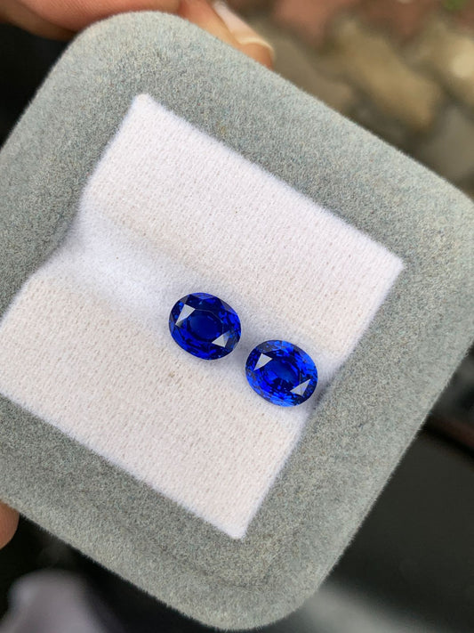 Paire Saphir bleu 4.08ct