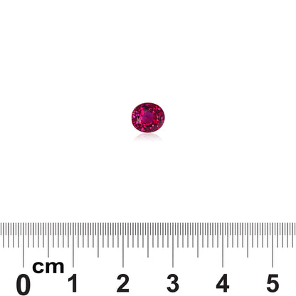 Une pierre précieuse ovale rose vibrante, étiquetée Rubis de Birmanie · 1,68 ct par Bonnot Paris, est présentée sur un fond blanc avec une règle graduée en centimètres en dessous soulignant sa taille compacte.