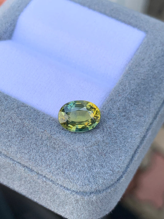 Le Saphir Antique de forme ovale de 2,56 ct de [NOUVEAU] Bonnot Paris, présentant un bicolore multicolore vert et jaune, repose sur un coussin violet clair dans une boîte à bijoux grise, soulignant son allure de pierres précieuses.