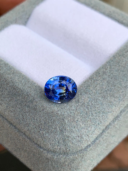 Un Saphir Bleu ovale vif (2,10 ct), brillamment taillé pour refléter la lumière, repose sur un coussin doux gris clair avec un intérieur blanc de Bonnot Paris.