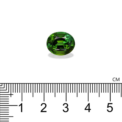 Une tourmaline verte de 7,65 carats de Bonnot Paris, ovale et facettée, repose sur une surface blanche. Sa fascinante teinte verte scintille au centre, au-dessus d'une règle graduée en centimètres, accentuant sa taille.