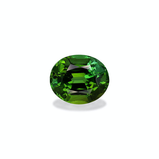 La Tourmaline Verte · 7,65ct de Bonnot Paris est présentée sur un fond clair, ses facettes rondes captant et réfléchissant la lumière pour amplifier sa riche teinte verte, avec une légère ombre en dessous.