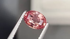 Saphir Padparadscha • 1,02ct
