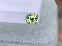 Saphir bicolore • 2,00ct
