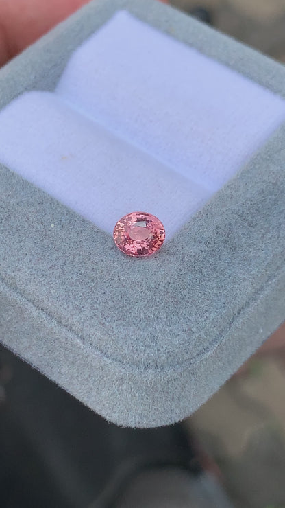 Saphir Padparadscha • 1,07ct