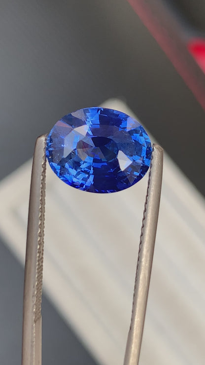 Saphir Bleu • 5ct