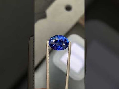 Saphir bleu • 6,02ct